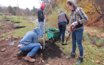 Tree Planting along Huntsville Creek – EC, PEC, PAWC, & King’s