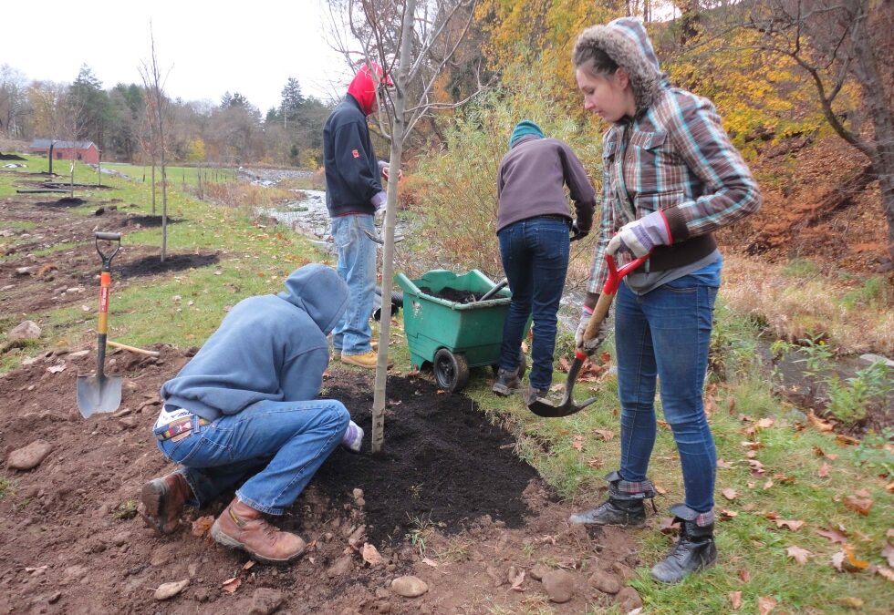 Tree Planting along Huntsville Creek – EC, PEC, PAWC, & King’s