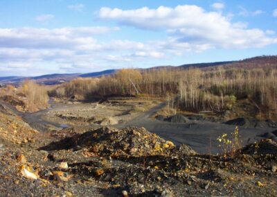 Barren, rock-covered landscape and silt piles with forest in background