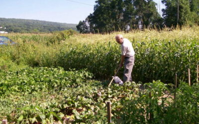 Reservation Period for 2011 Community Garden Opens