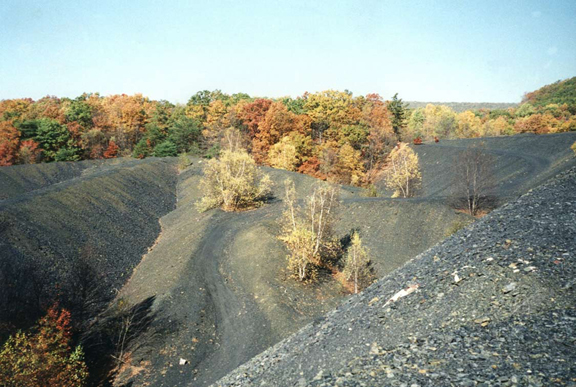 Undulating piles of waste rock in triangular piles. Autumn trees are in background.