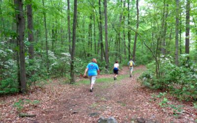 Celebrating National Trails Day on the Sugar Notch Trails