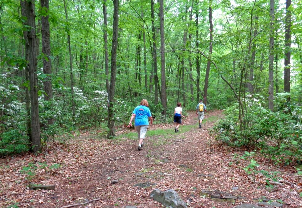 Celebrating National Trails Day on the Sugar Notch Trails