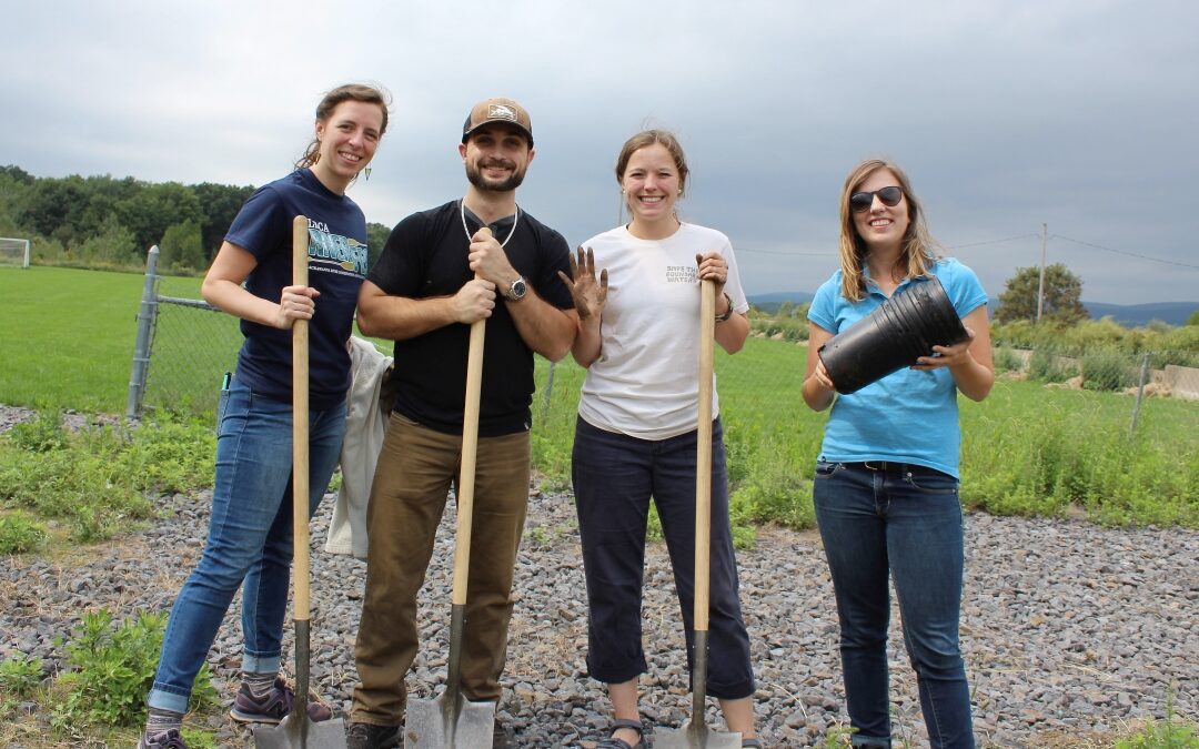 Tree Planting & Trail Clean-up with DHL Supply Chain
