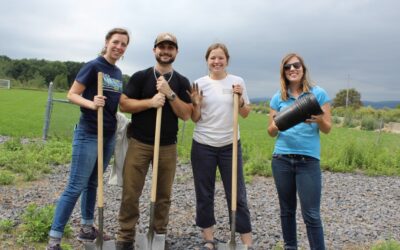 Tree Planting & Trail Clean-up with DHL Supply Chain