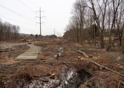 Small wooden-board path on left runs alongside small overgrown stream channel on right