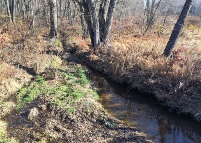 Section of stream channel; left side is flat, muddy, with some grass; right side has trees but bank has been significantly cut away by erosion.