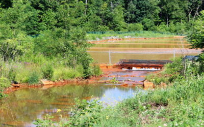 EC Receives $2,500 ARIPPA Grant to Monitor Nanticoke Creek