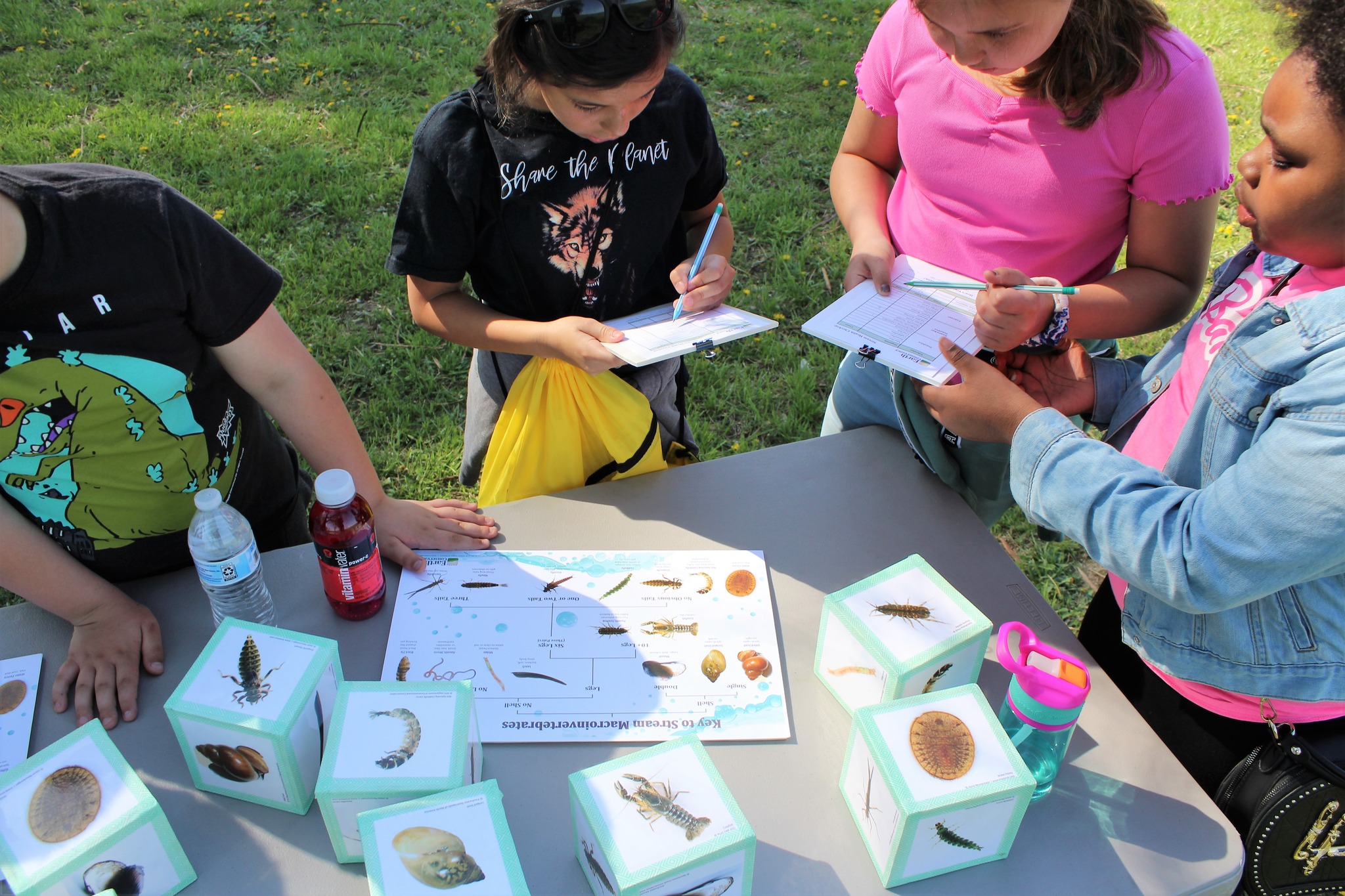 Elementary-aged students participating in activity on macroinvertebrates / watershed health.