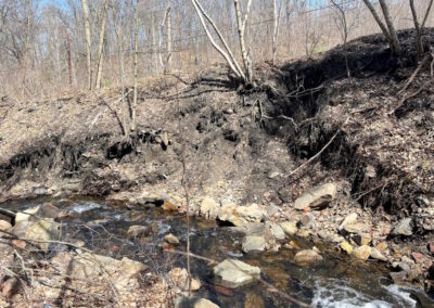 Stream flowing along a steep, highly eroded bank with tree roots showing.