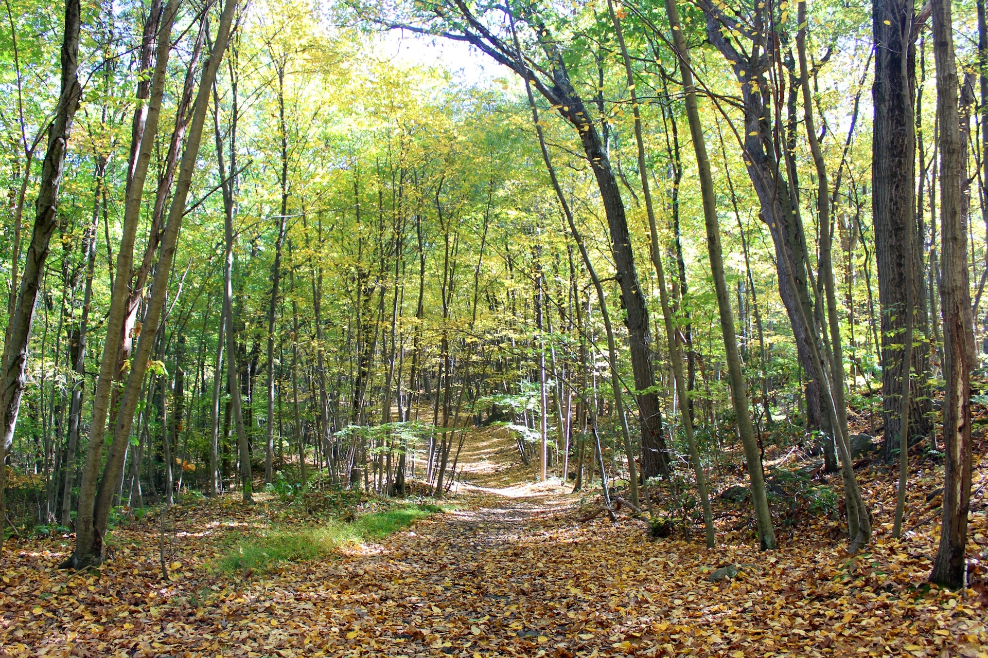 nblt-sugar-notch-hike-sip-trail
