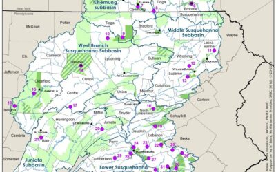 SRBC Grant Awarded for Tree Planting Along Espy Run