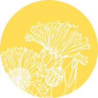 Compost Information