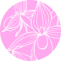 Icon of notebook