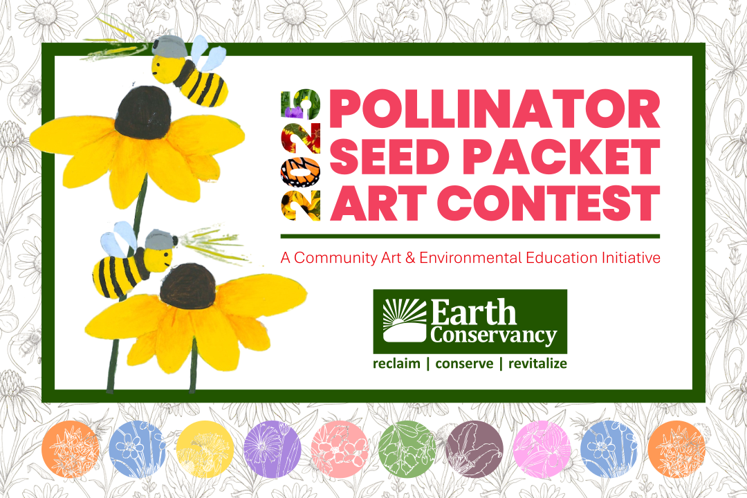 Google Earth image with parcels to be studied for solar potential outlined and shaded.