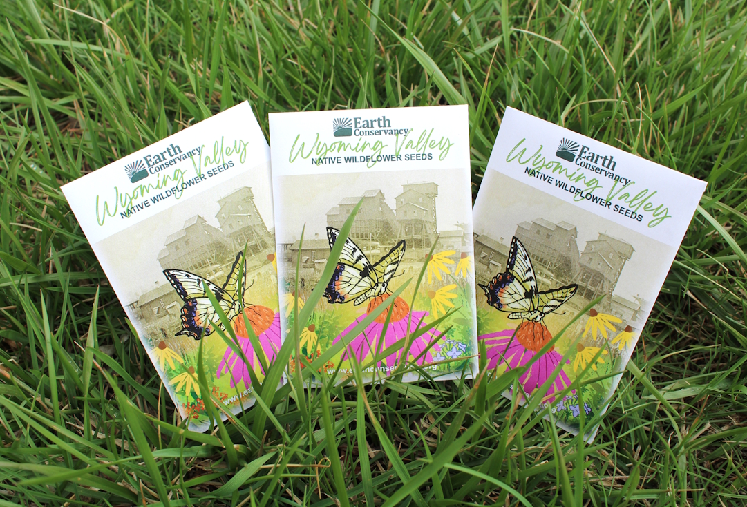 Google Earth image with parcels to be studied for solar potential outlined and shaded.