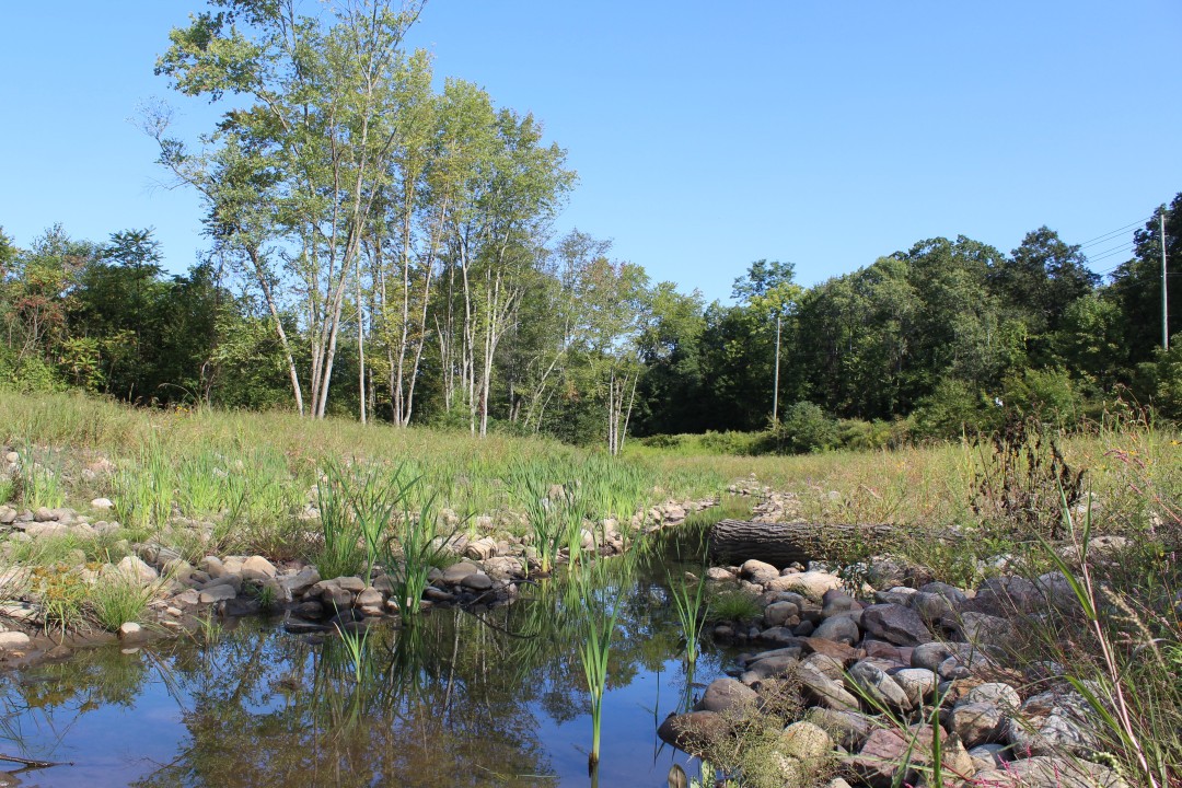 Landscape view of old stone culvert/bridge spanning a dry creek bed covered by fallen autumn leaves.