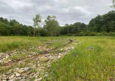 A small rocky stream runs through a grassy field with wildflowers, surrounded by trees under a cloudy sky.