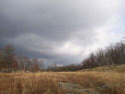Fall/winter landscape photo of field with tall, dead grasses, lined by thickets of leafless birch trees; Dark clouds roll across sky from left to right.
