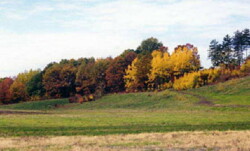 Landscape view of green, sloping, grass hill with autumn-hued trees along top.