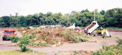 Large pile of green waste (branches, roots, grass, clippings) at center. Several trucks are around pile, dumping additional material.