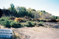 Grainy photo of large dirt area with piles of small trees, branches, and other yard waste. Sign in front with stenciled letters and arrow pointing to pile reads: "Yard Waste, Branches, up to 6" dia."