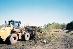 The bucket of a yellow loader pushes yard waste into pile.