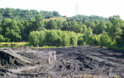 Landscape view of black, dirt-covered area. Dirt appears fine, almost like sand (it is silt). Forested areas line background.
