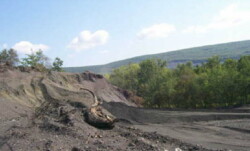 Landscape view of large spoil area; left-hand side has massive piles resembling grainy cliffs, sloping down to flattened area. A dead, faded tree stump/root is in the foreground.