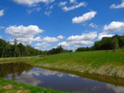 A crescent-shaped constructed pond sits below a hill with green grass. Large trees line site. Sky is blue with white puffy clouds, which are reflected in water.