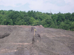 Looking up a dirt hill, the shape of a roadway on left is taking form. It is lined by wooden stakes with yellow ties on its right-hand side. The background is forested with deciduous trees.