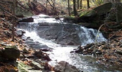 Waterfall in forested area flowing over a large rock that spans width of stream