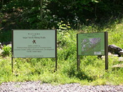 Two large signs, both with metal posts on each side in area with tall grass and rocks in front. Once reads: "Welcome to the Sugar Notch Hiking Trails"; the other is a topographical map showing the trail's path.