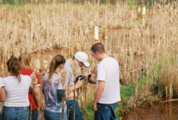 College students stand in wetland area with orange water, full of dead cattails. Two males and one female look downward at piece of equipment one is holding
