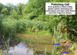 Wetlands area full of cattails, marked with arrows pointing to brick structures on right (outlet). Label reads: "Polishing Cell: Root systems of water-loving plants capture remaining iron particulates, and clean water flows back into Espy Run."