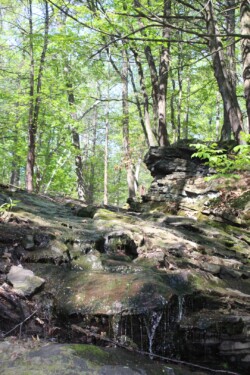 Looking up at water falling trickling over large, mossy rocks in wooded area.